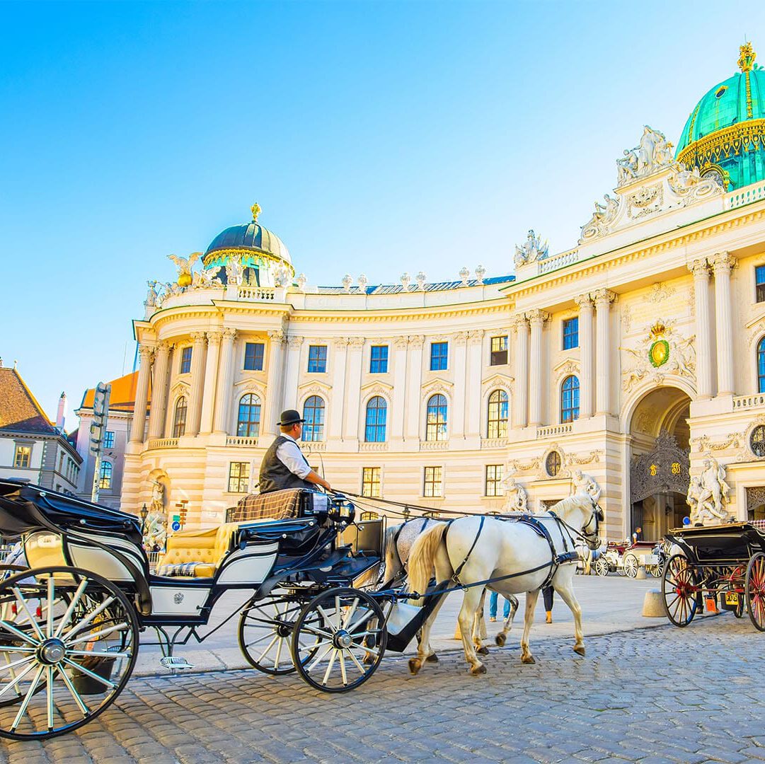 amorette international vienna horse-drawn carriage
